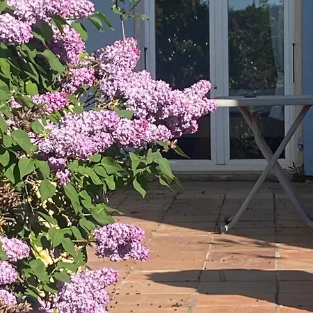 Chambre, Terrasse , Salle De Bains Toilettes Prive *